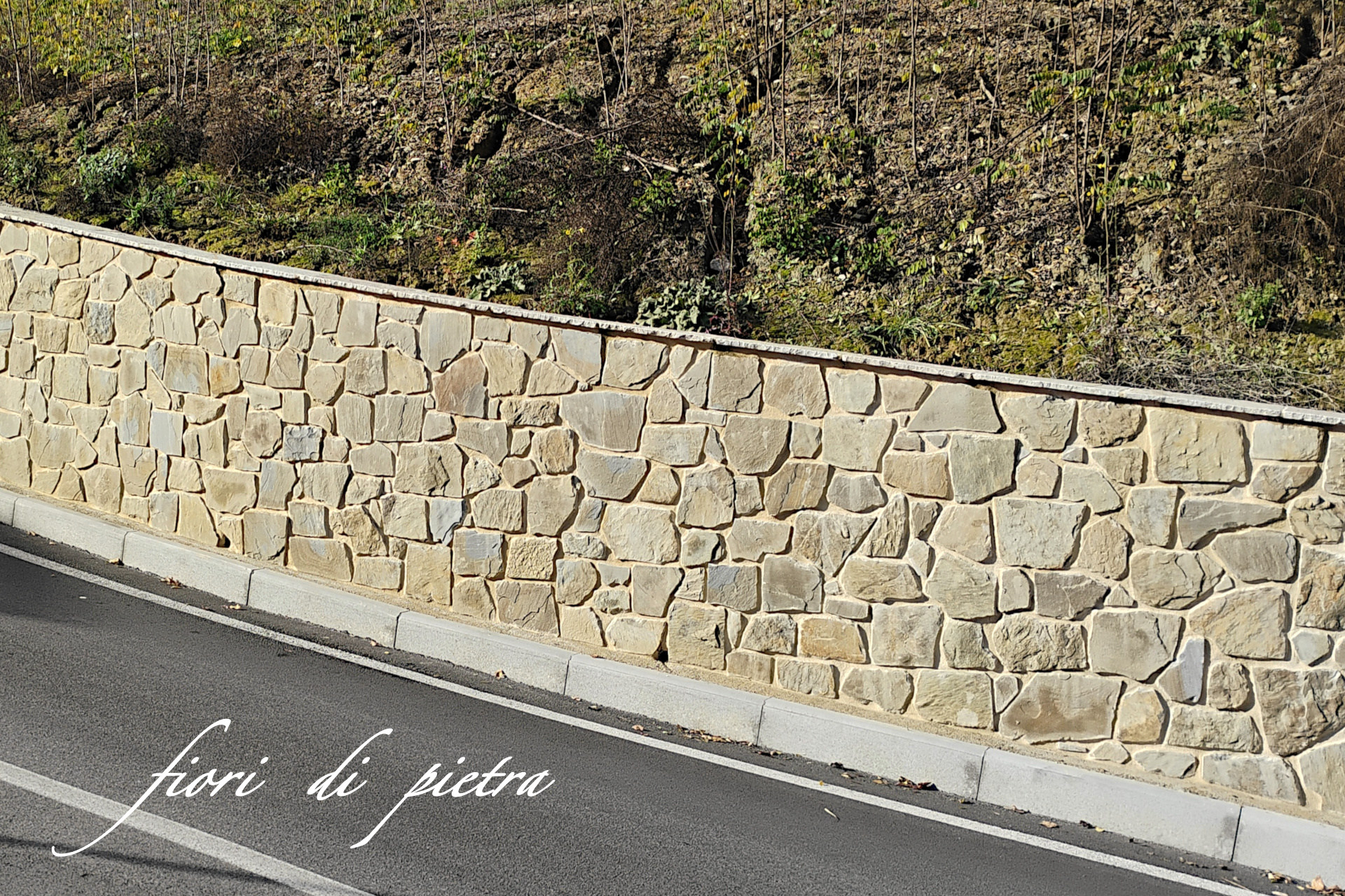Realizzazione Rivestimenti in pietra PIETRA MATERA